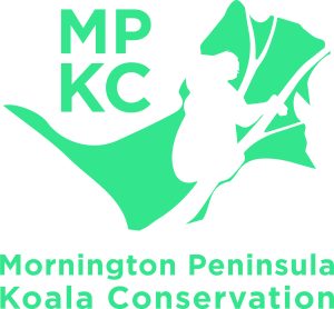 Mornington Peninsula Koala Conservation