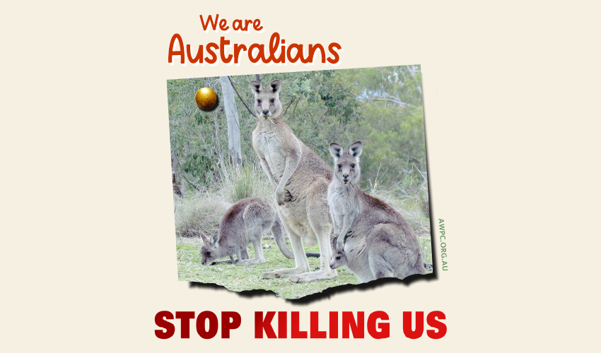 We-are-Australians-meme-AWPC-feature-SueVanHomrigh