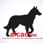 national Association for Conservation of the Australian Dingoes Inc.