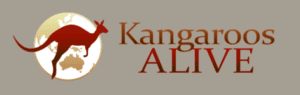 Kangaroos Alive