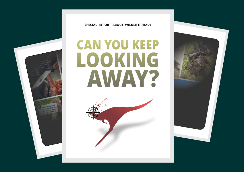 Can you keep looking away dossier feature image